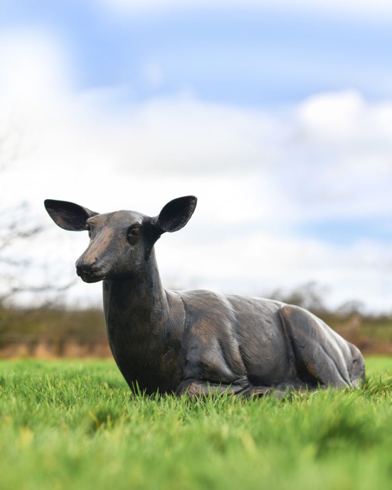 Life Size Doe 