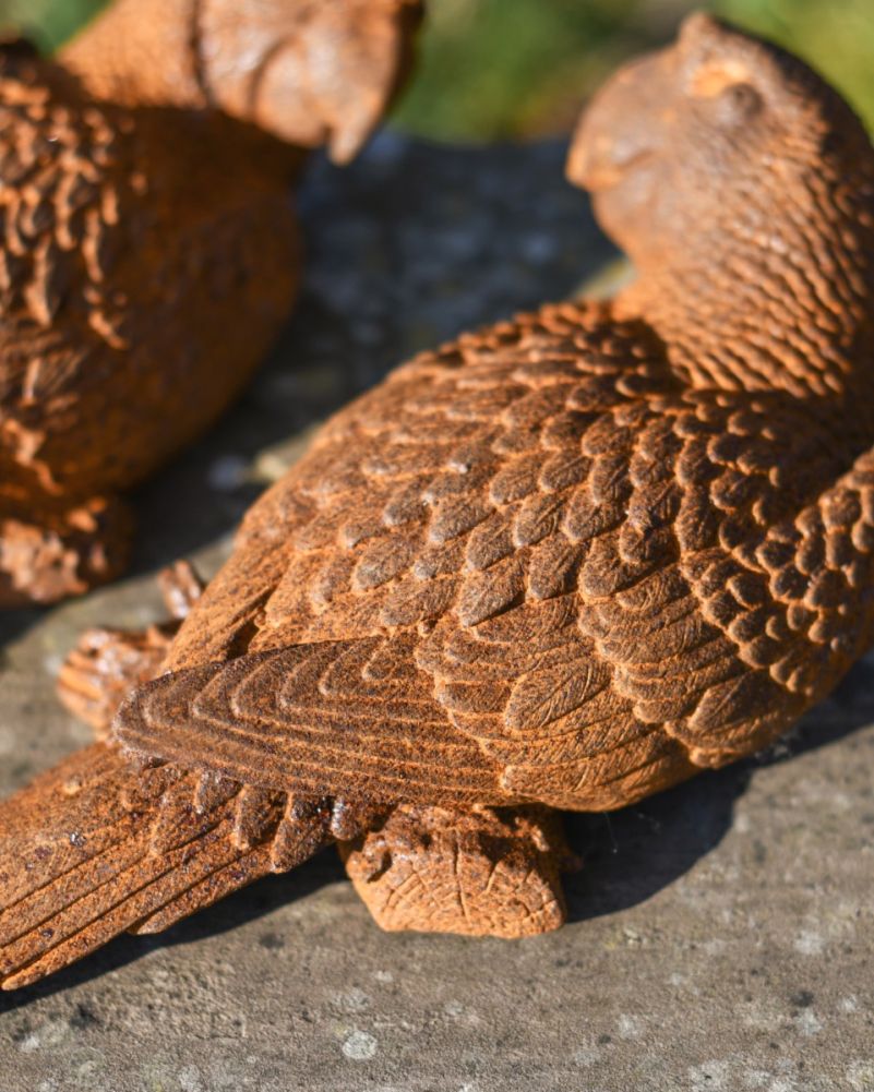 Close Up Of Rustic Cast Iron 