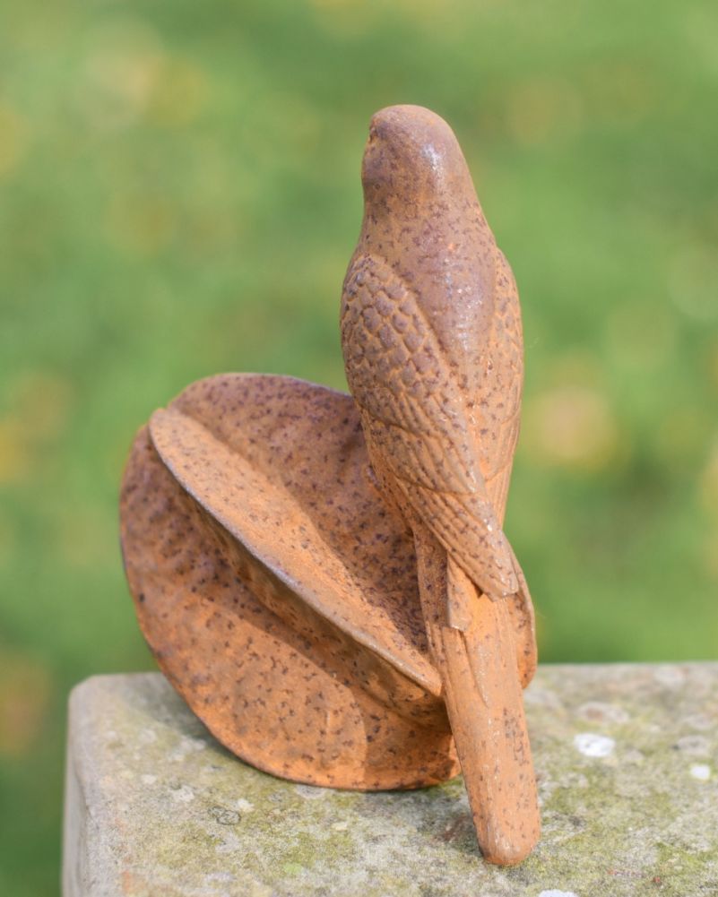 cast iron bird on star fruit