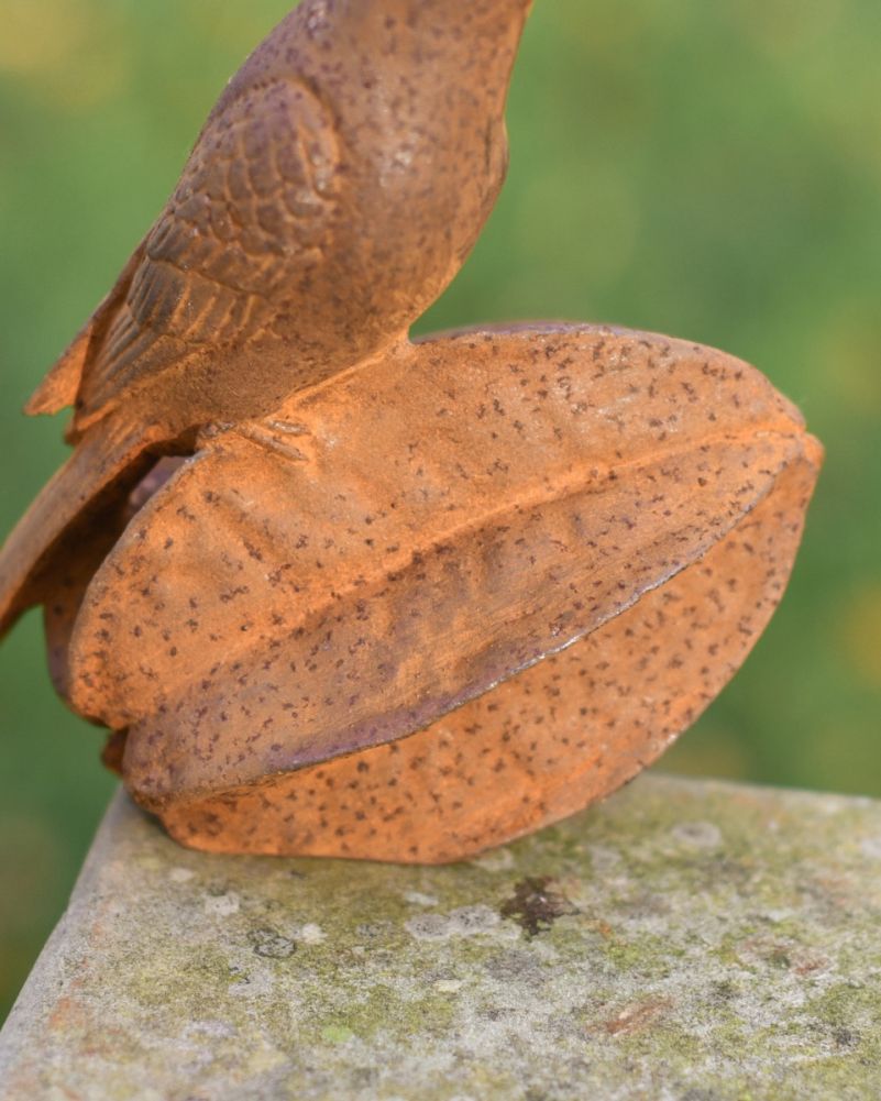 cast iron bird on star fruit
