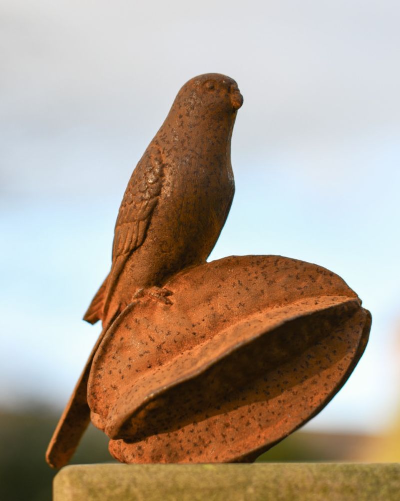 cast iron bird on star fruit