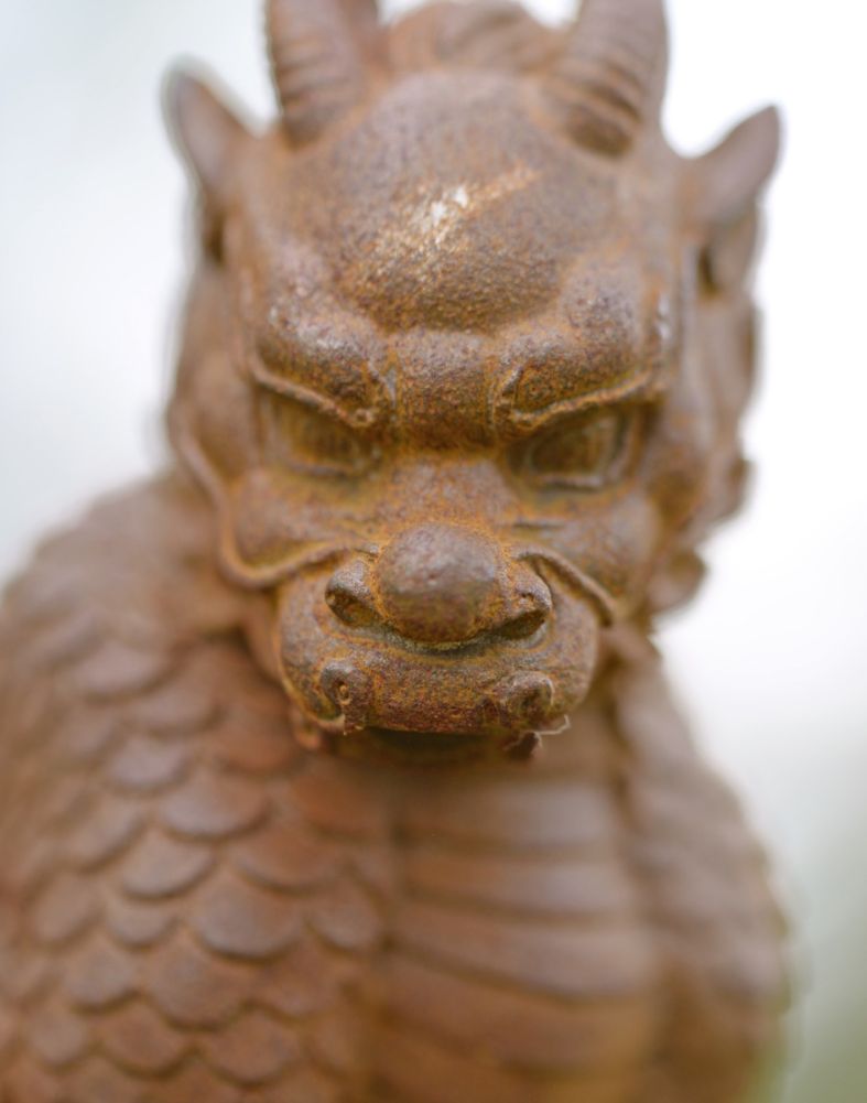 Rustic Cast Iron Dragon Climbing Pillar Garden Sculpture Face Close Up