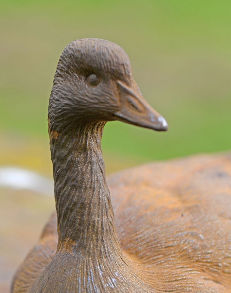Rustic Cast Iron Duck Garden Sculpture  Face