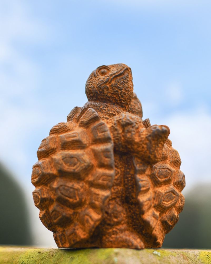 Rustic Cast Iron Hugging Tortoise Sculpture In Situ