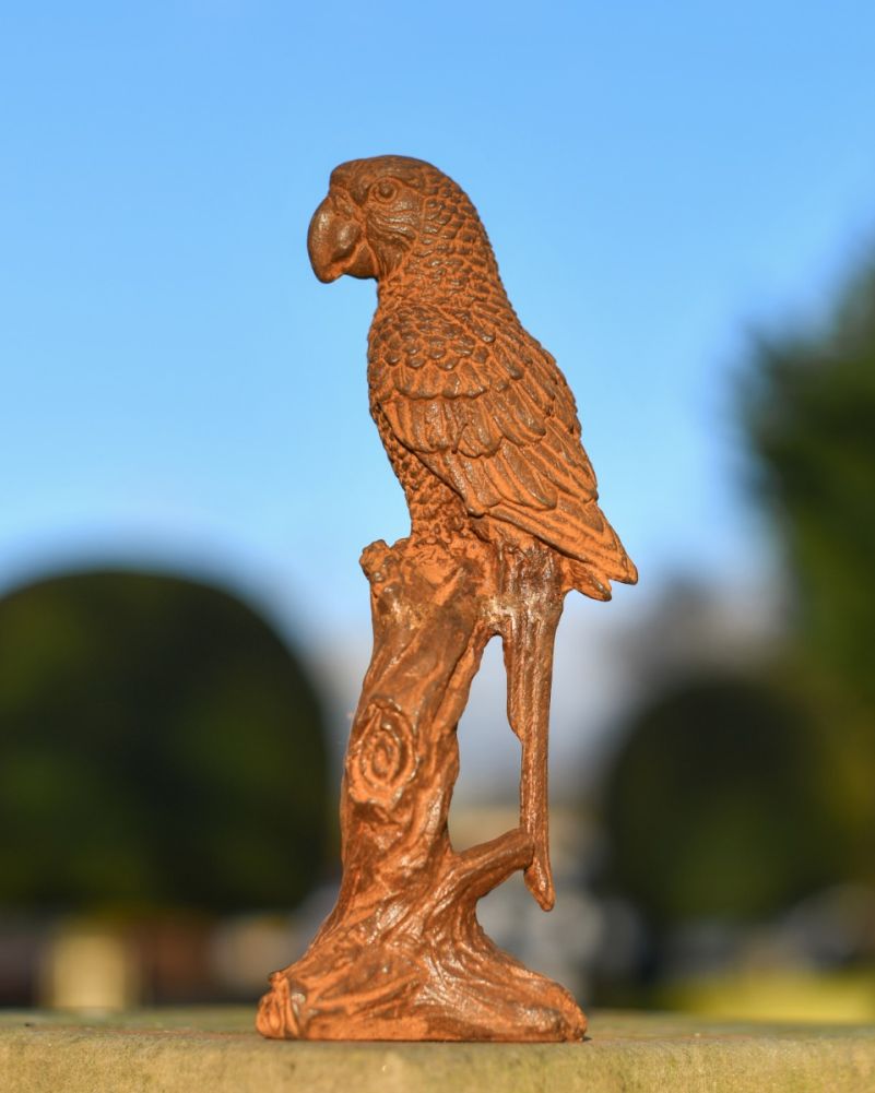 Rustic cast iron parrot on branch
