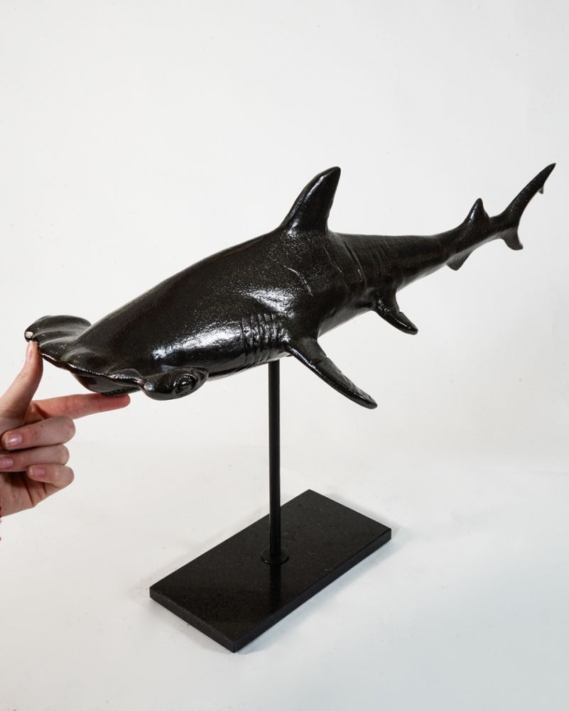 Scale of the black 'Anvil Of The Deep' Hammerhead Shark Interior Ornament