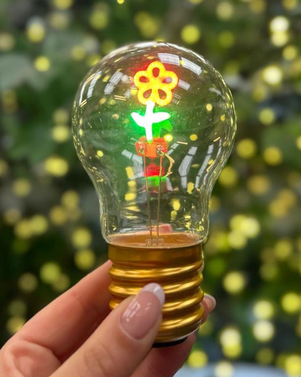Decorative LED Light Bulb Scale