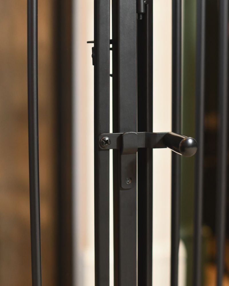 Latch From The Gate On The Fire Guard