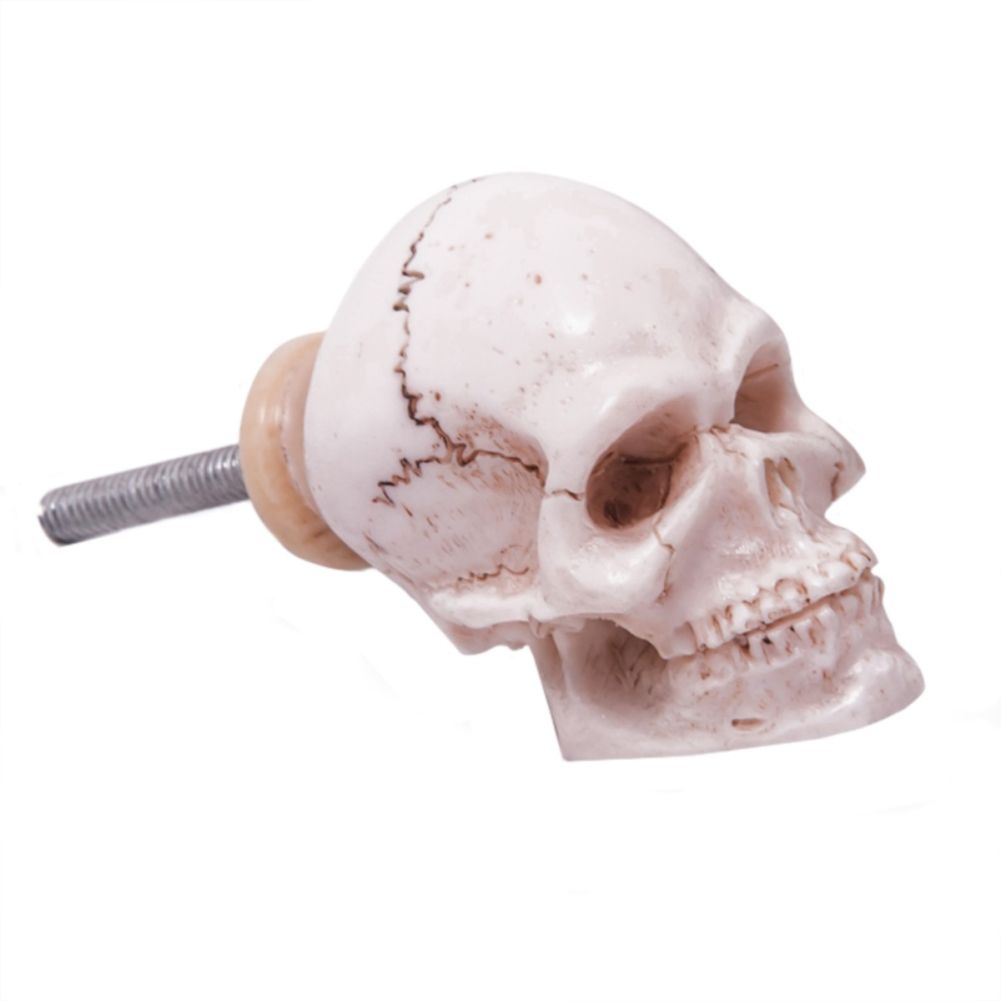 Skull Design Cabinet Knob (Clearance) In Situ