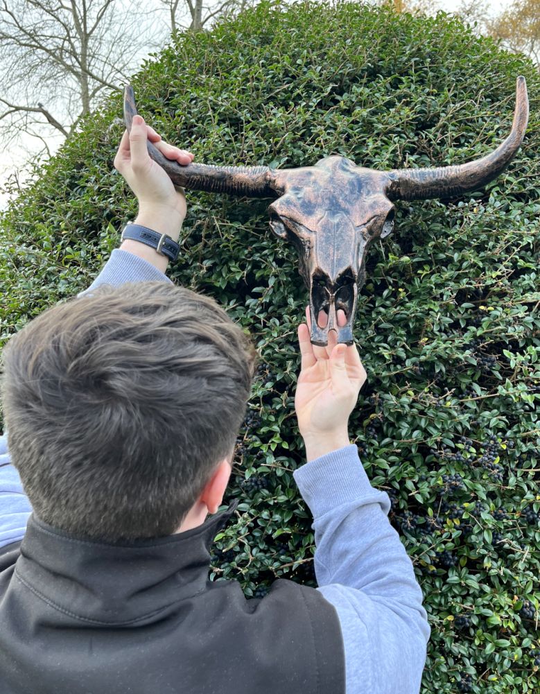 Bronze & Copper Bison Skull Home Ornament To Scale
