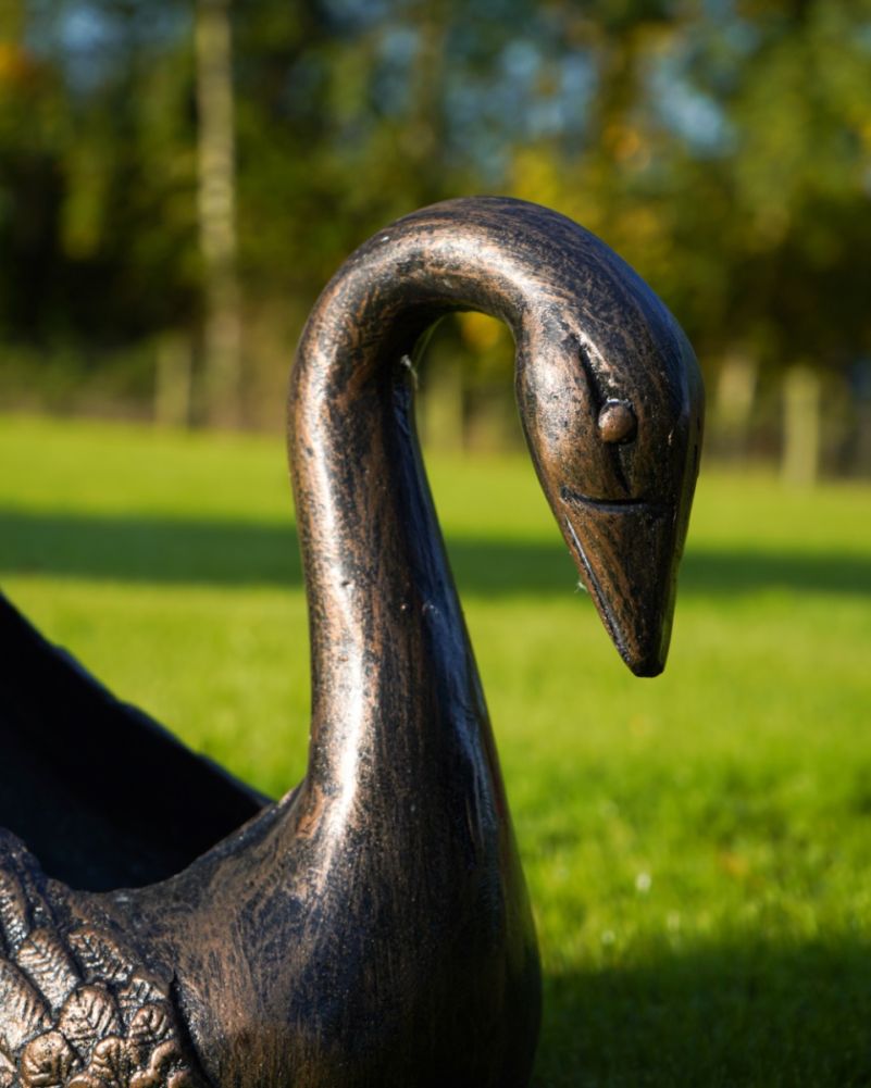 Small Bronze Ornate Swan Garden Planter Close Up Face
