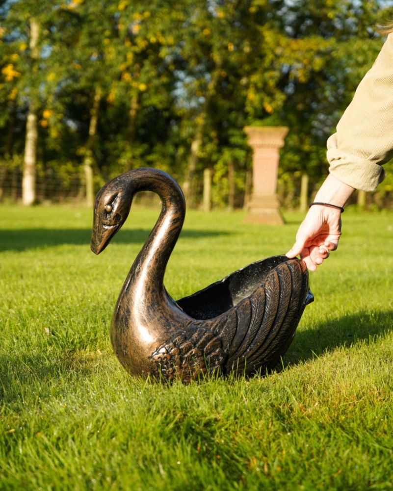 Small Bronze Ornate Swan Garden Planter Scale Back