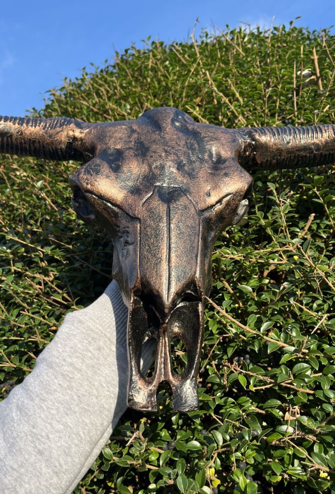 SmallAluminium Bison Skull Home Ornament Close Up
