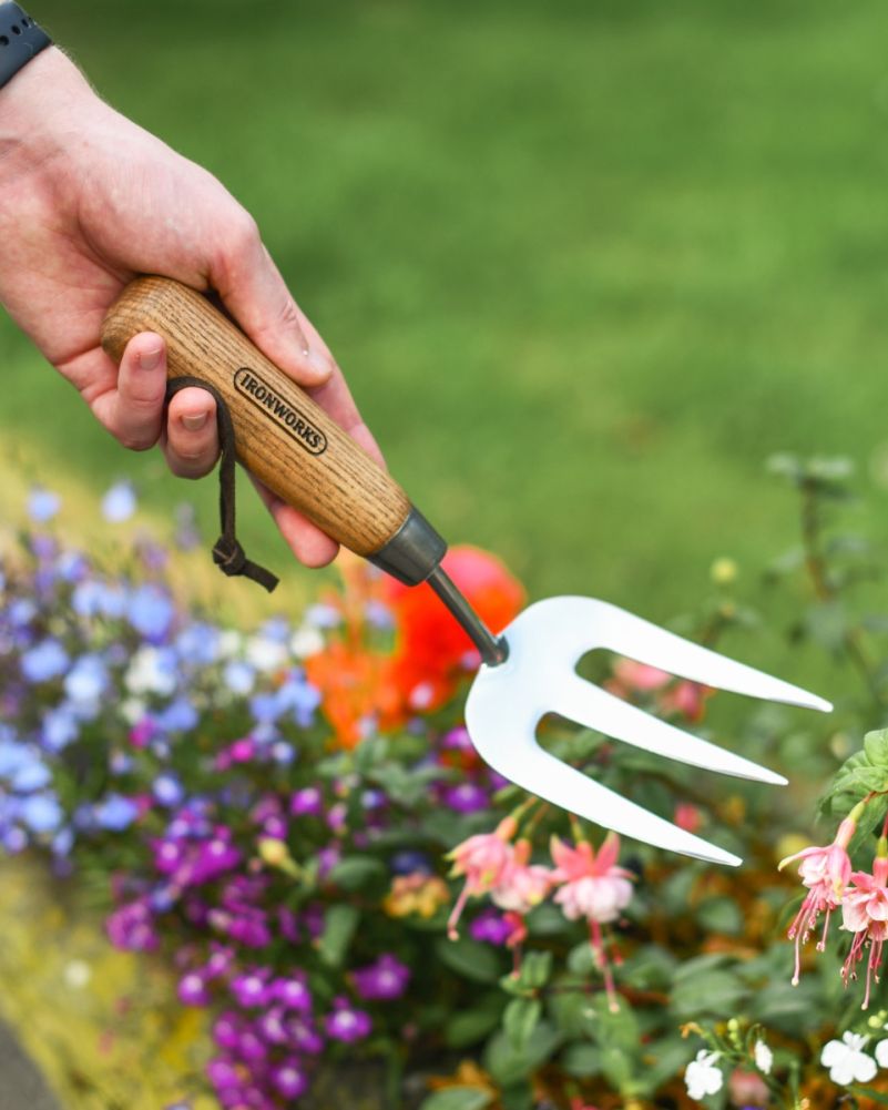 Stainless Steel Hand Fork With Ash Wooden Grip 