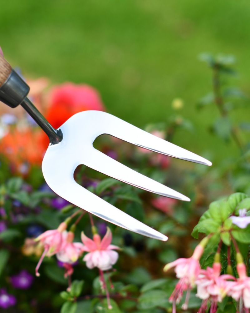 Stainless Steel Hand Fork With Ash Wooden Grip 