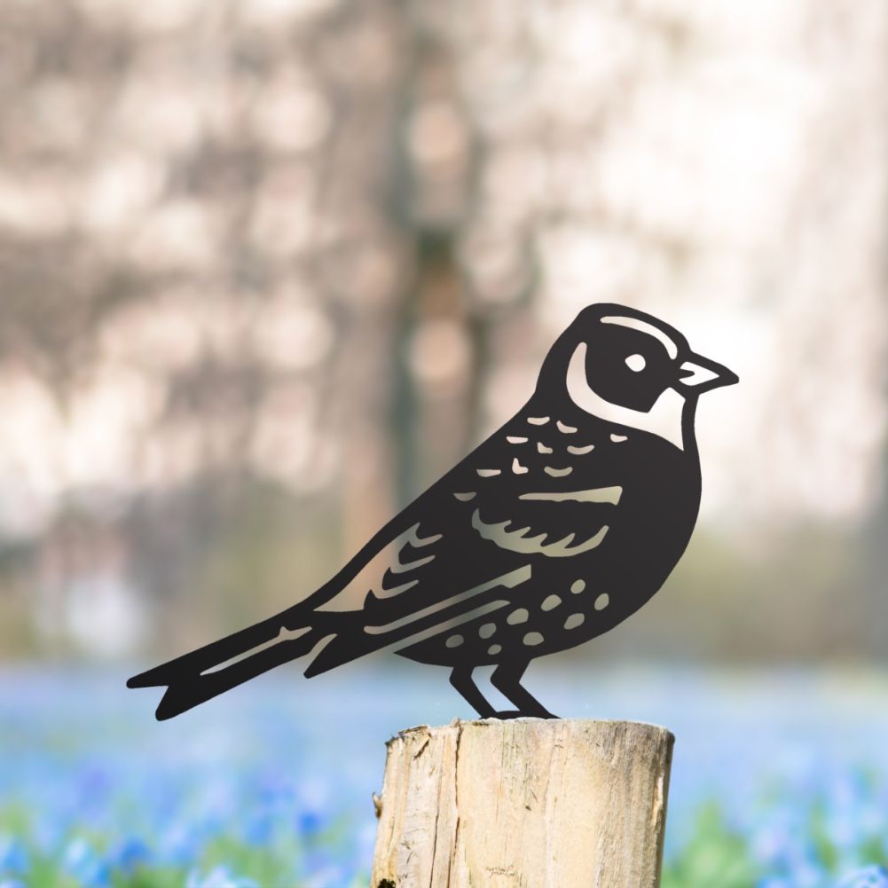 Steel Brambling Fence Topper In Black In A Wildflower Setting