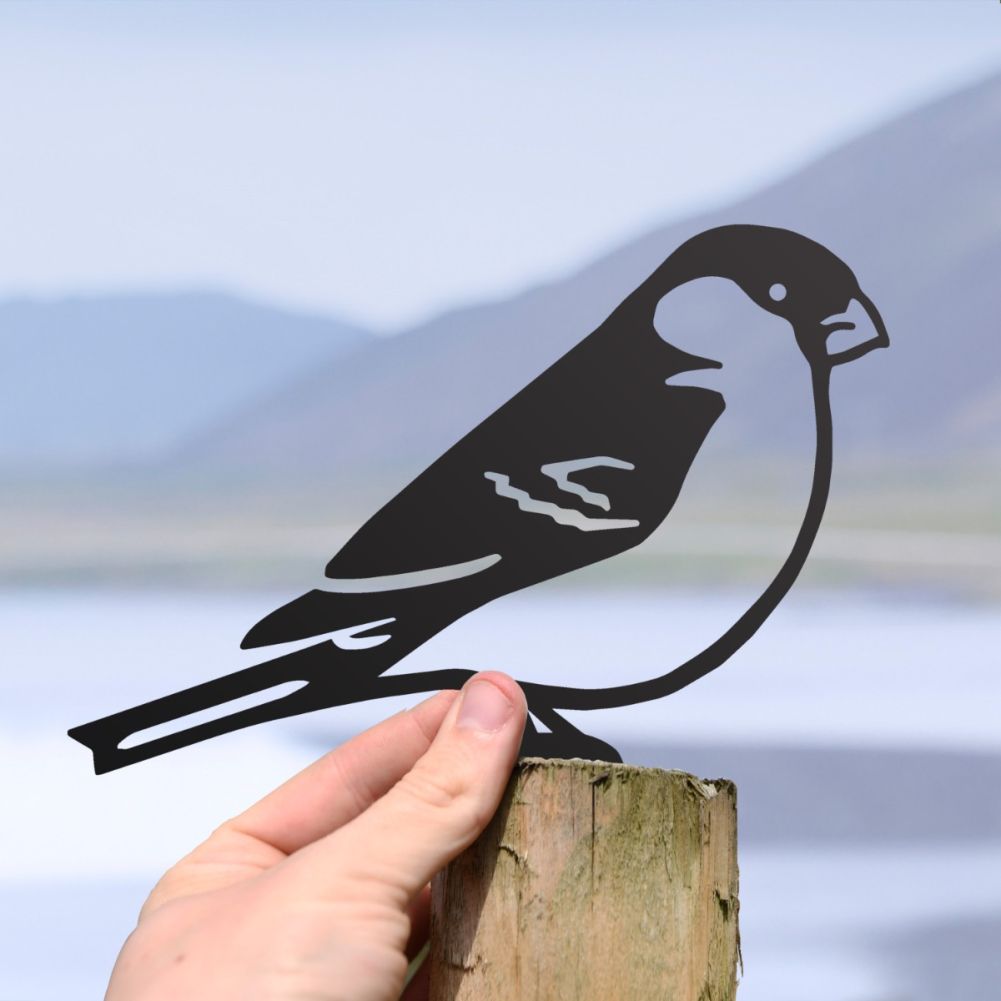 Scale Shot Of Steel Bullfinch Fence Topper In Black