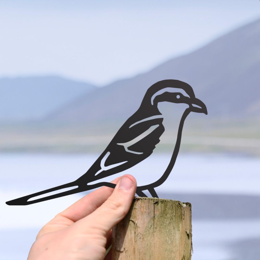 Scale Shot Of Steel Great Grey Shrike Fence Topper In Black