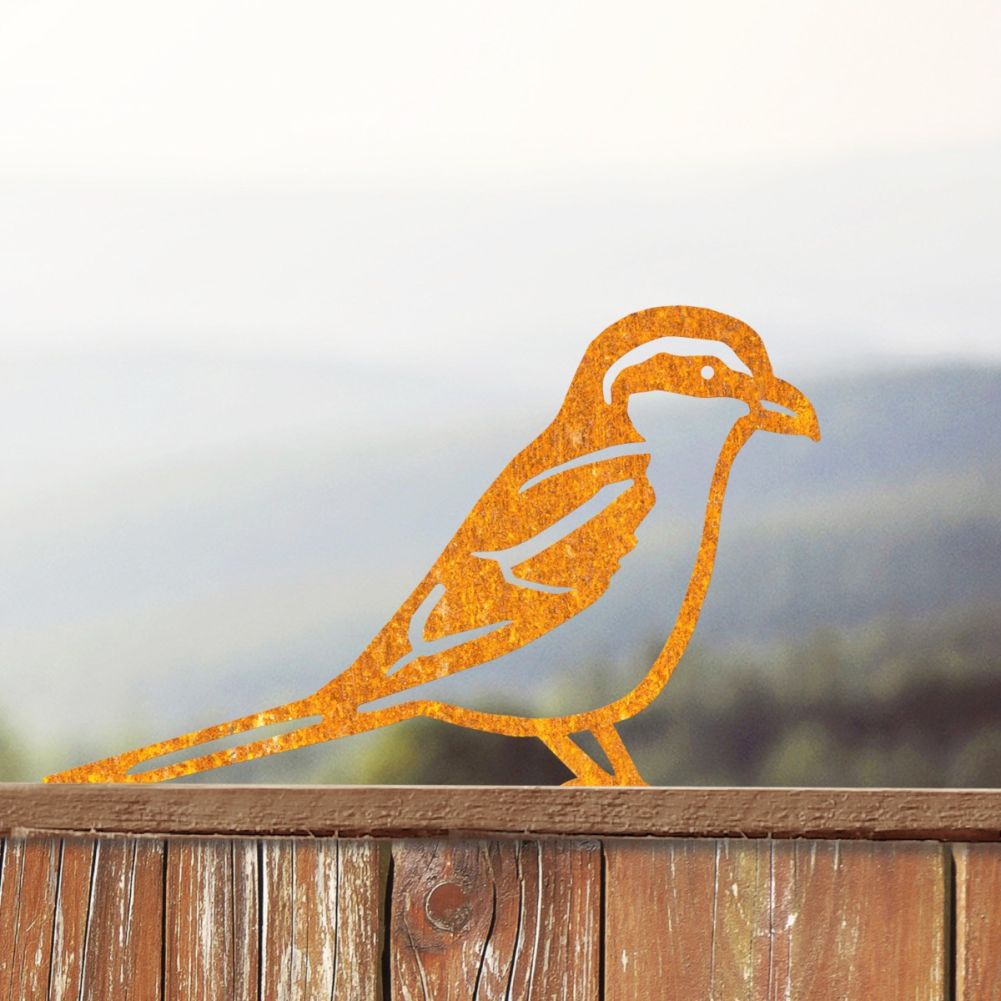 Steel Great Grey Shrike Fence Topper In Rustic On A Garden Fence
