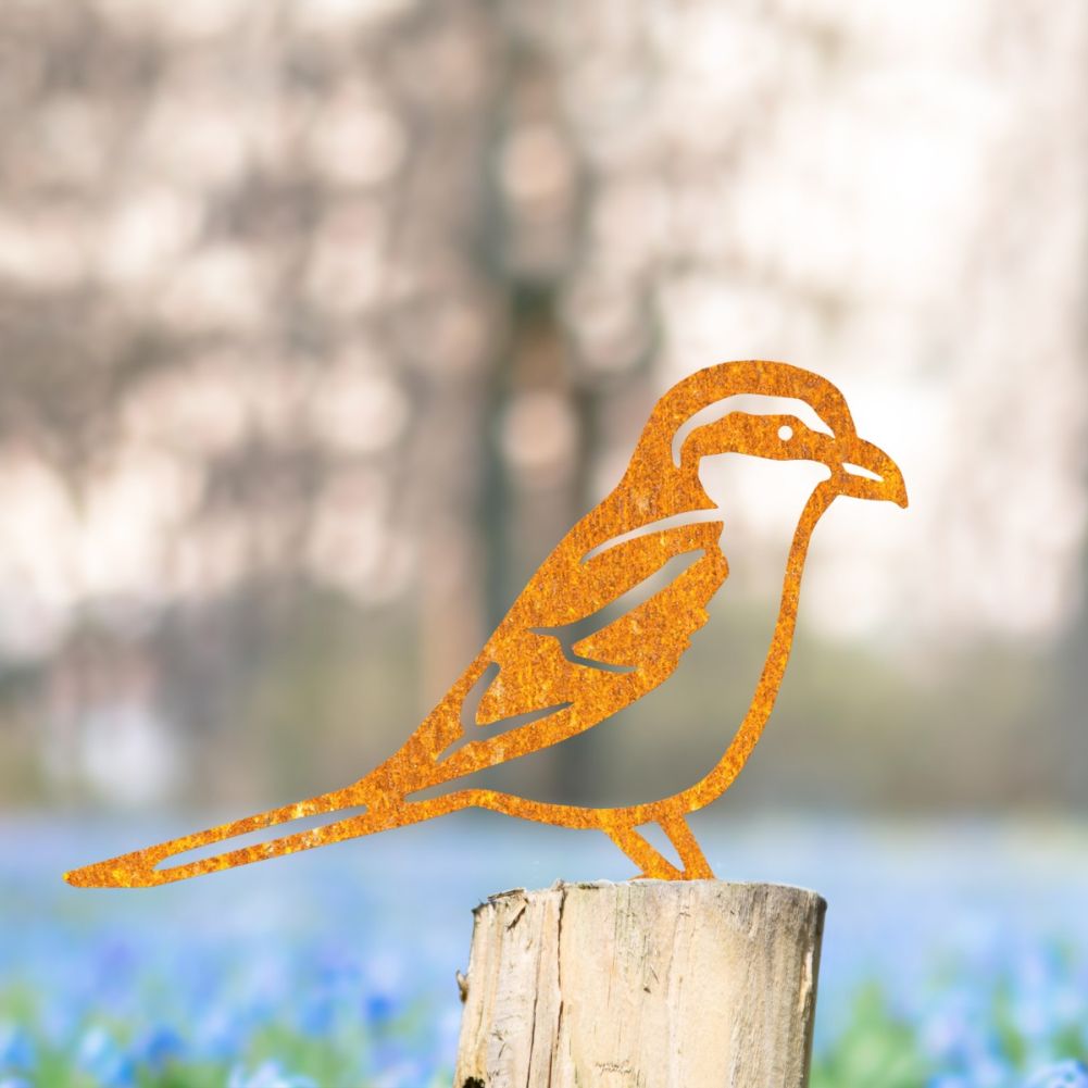 Steel Great Grey Shrike Fence Topper In Rustic In A Wildflower Setting