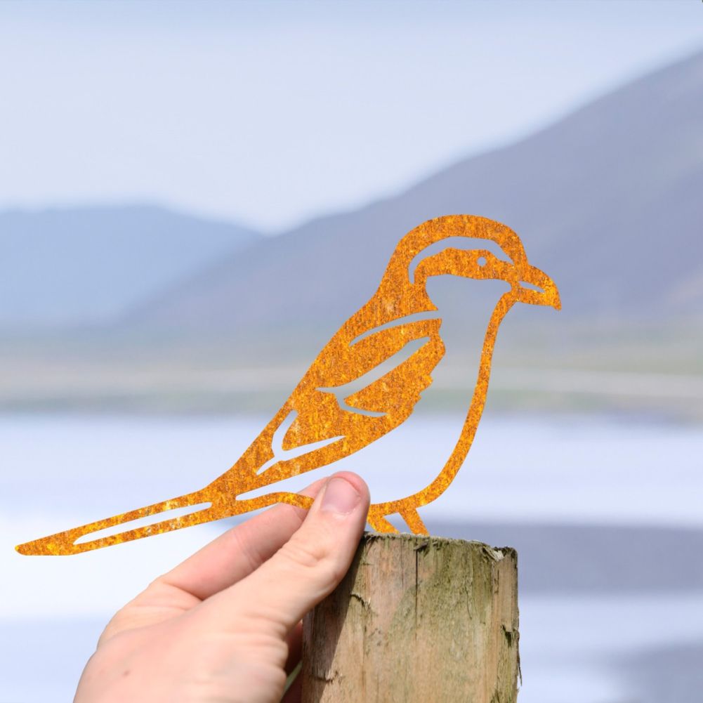 Scale Shot Of Steel Great Grey Shrike Fence Topper In Rustic