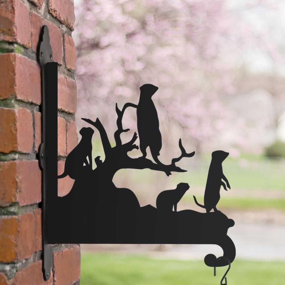 Steel Meerkat Mob Hanging Basket Bracket in a Blossom Setting