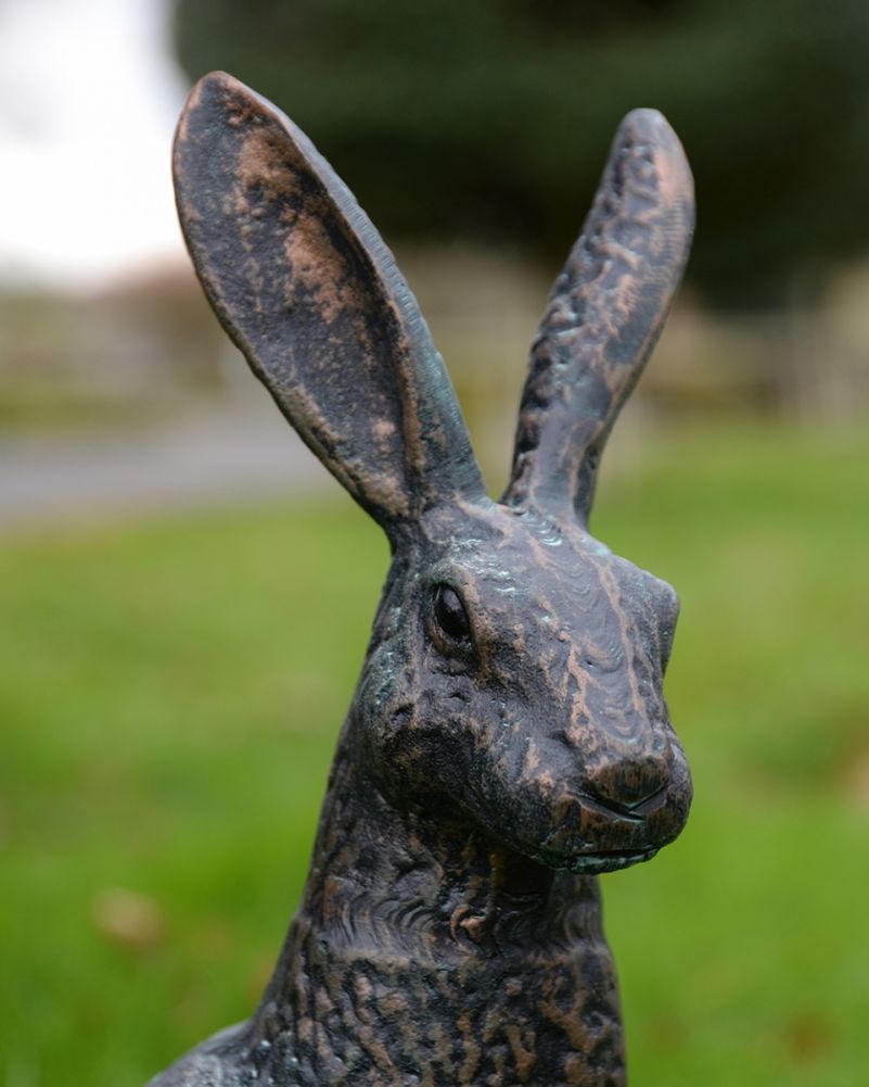 Face From The Verdigirs Hare Garden Sculpture