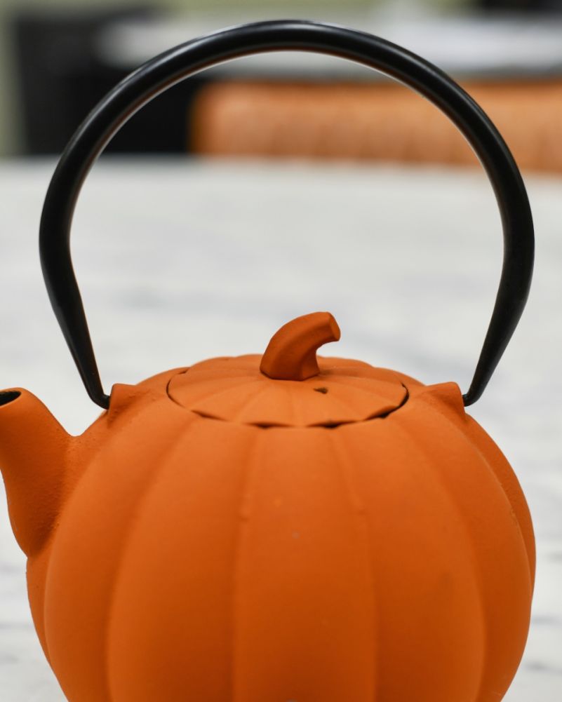 Cast iron Japanese Teapot Design
