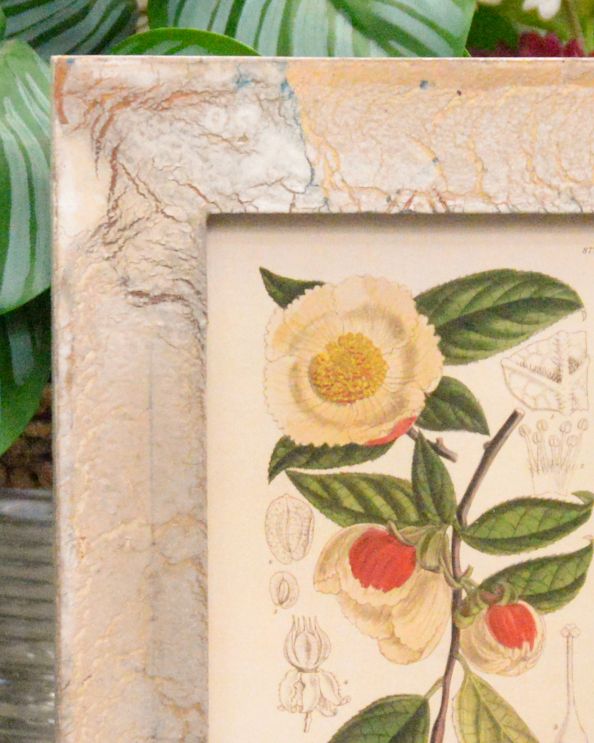 'Timeless Elegance' Recycled Wooden Framed Floral Artwork Close Up