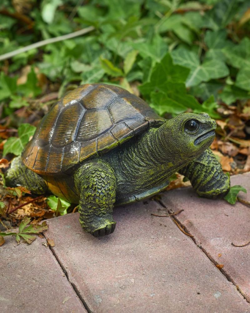 Side Of The Small Tortoise Garden Sculpture - 20cm