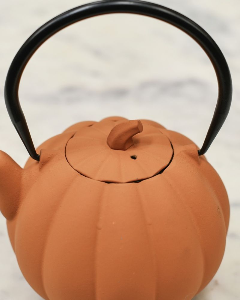 Lid From Pumpkin Cast Iron Japanese Teapot