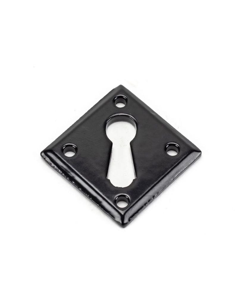 Traditional Black Diamond Escutcheon Fixings
