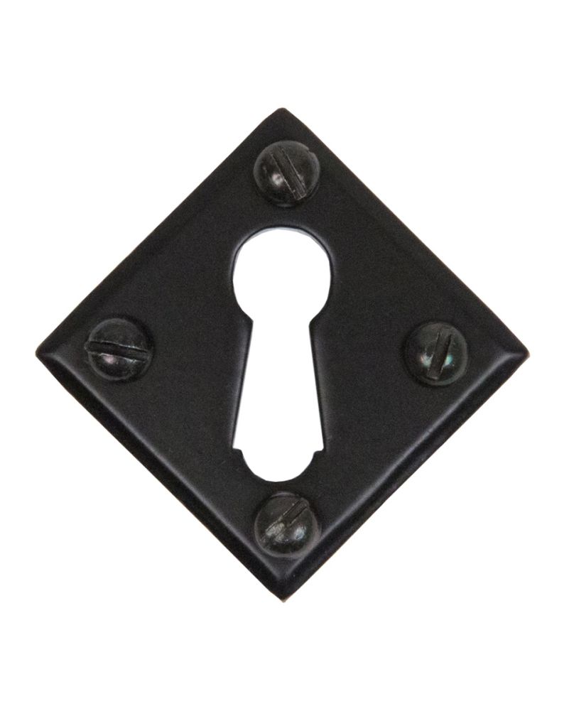 Traditional Black Diamond Escutcheon