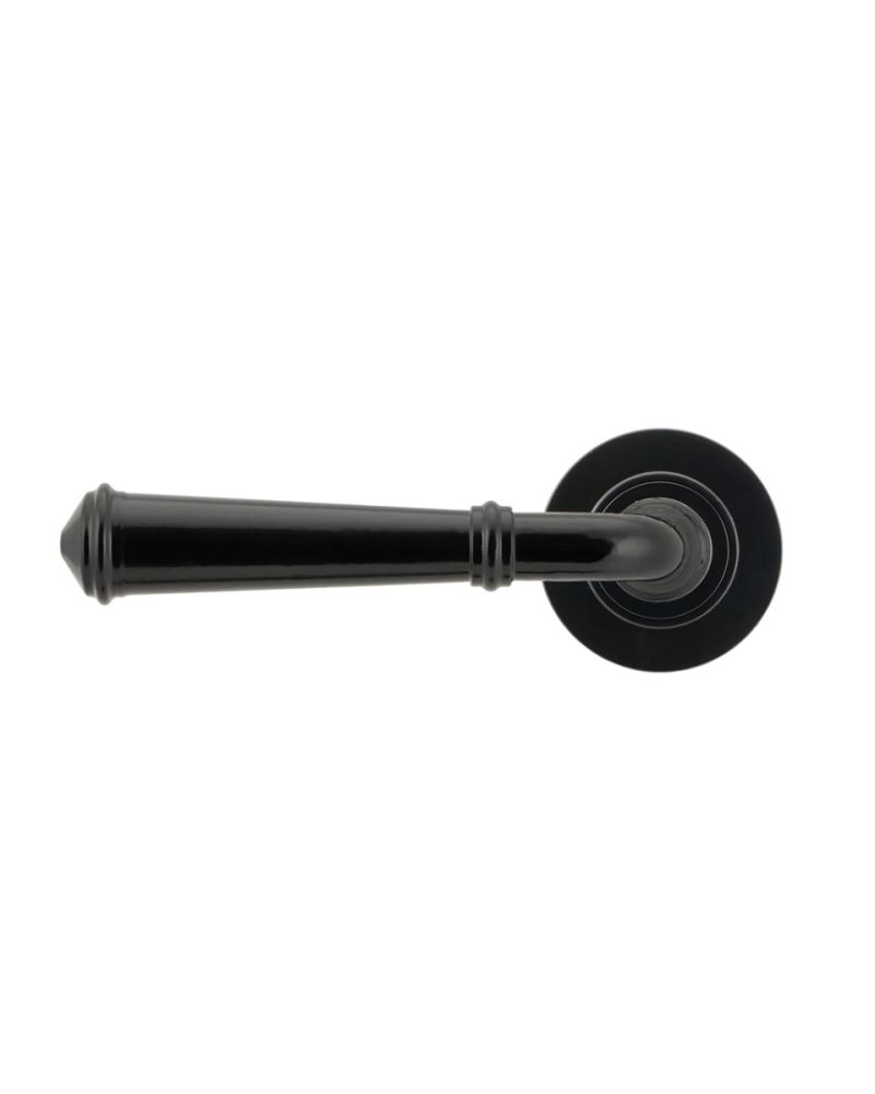 Traditional Ornate Midnight Black Unsprung Door Handle
