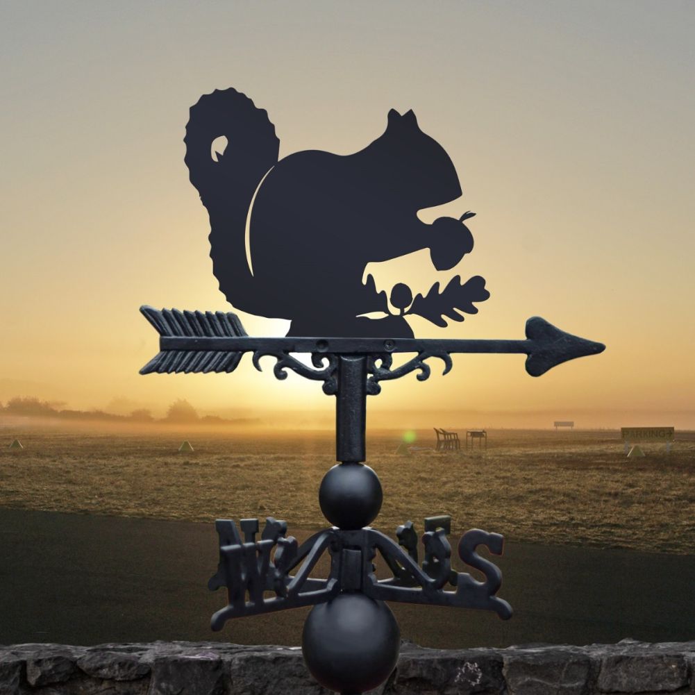 Squirrel Design on Weathervane 