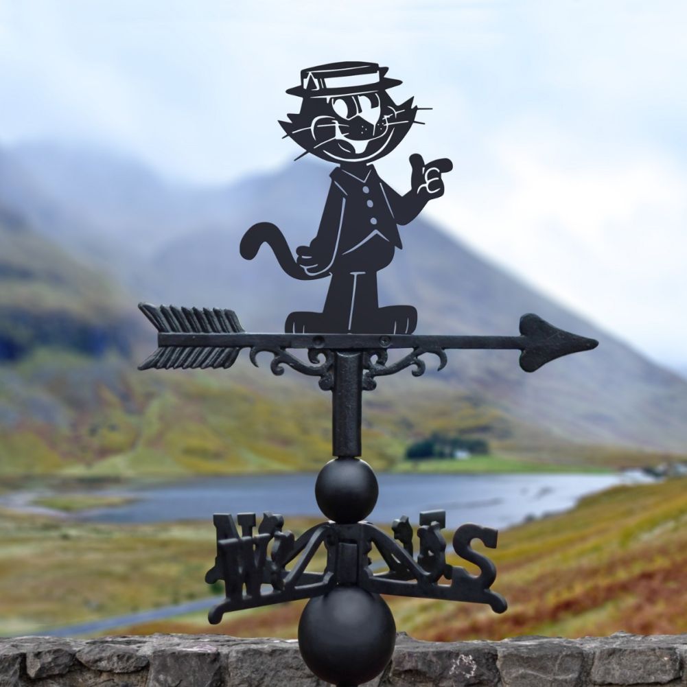Top Cat Weathervane in situ 