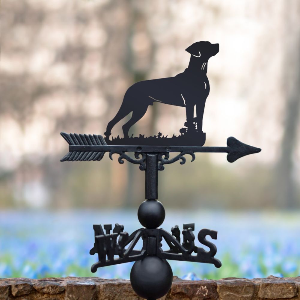 Standing 'Rhodesian Ridgeback' Dog Weathervane