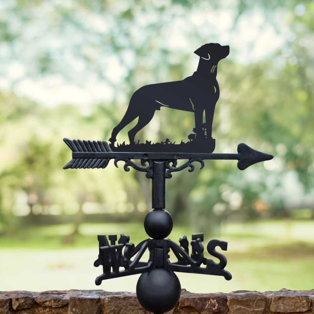 Weathervane with Standing 'Rhodesian Ridgeback' Dog Motif