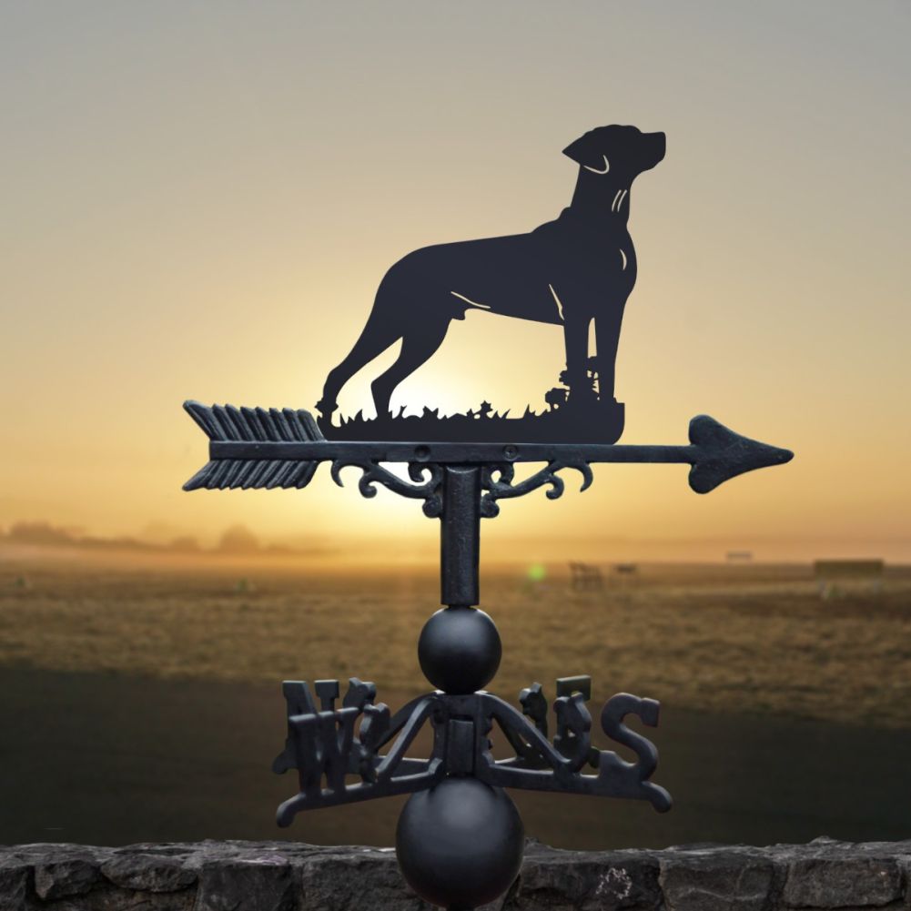 Weathervane with Standing 'Rhodesian Ridgeback' Dog Topper
