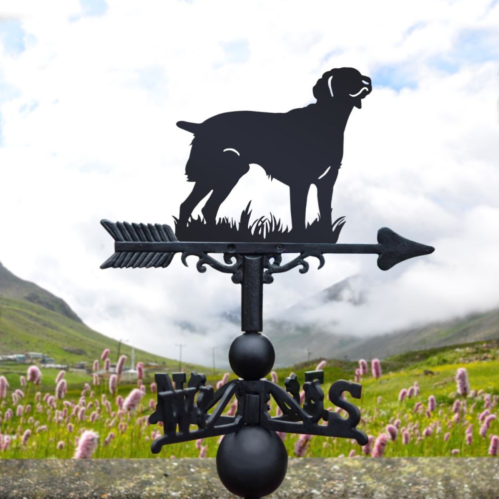 Standing 'Brittany' Dog Weathervane