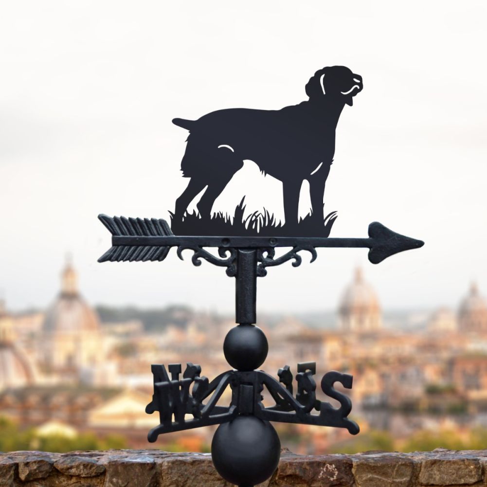 Weathervane with Standing 'Brittany' Dog Topper