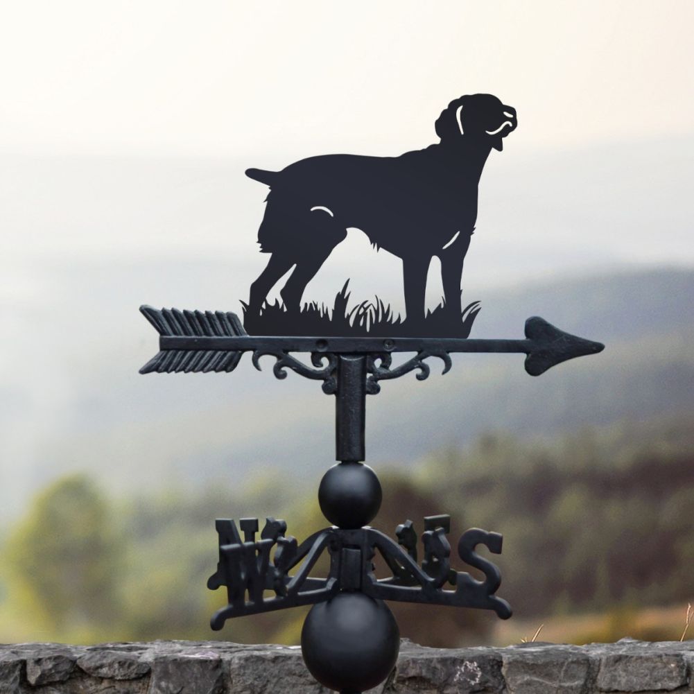 Weathervane with Standing 'Brittany' Dog Motif