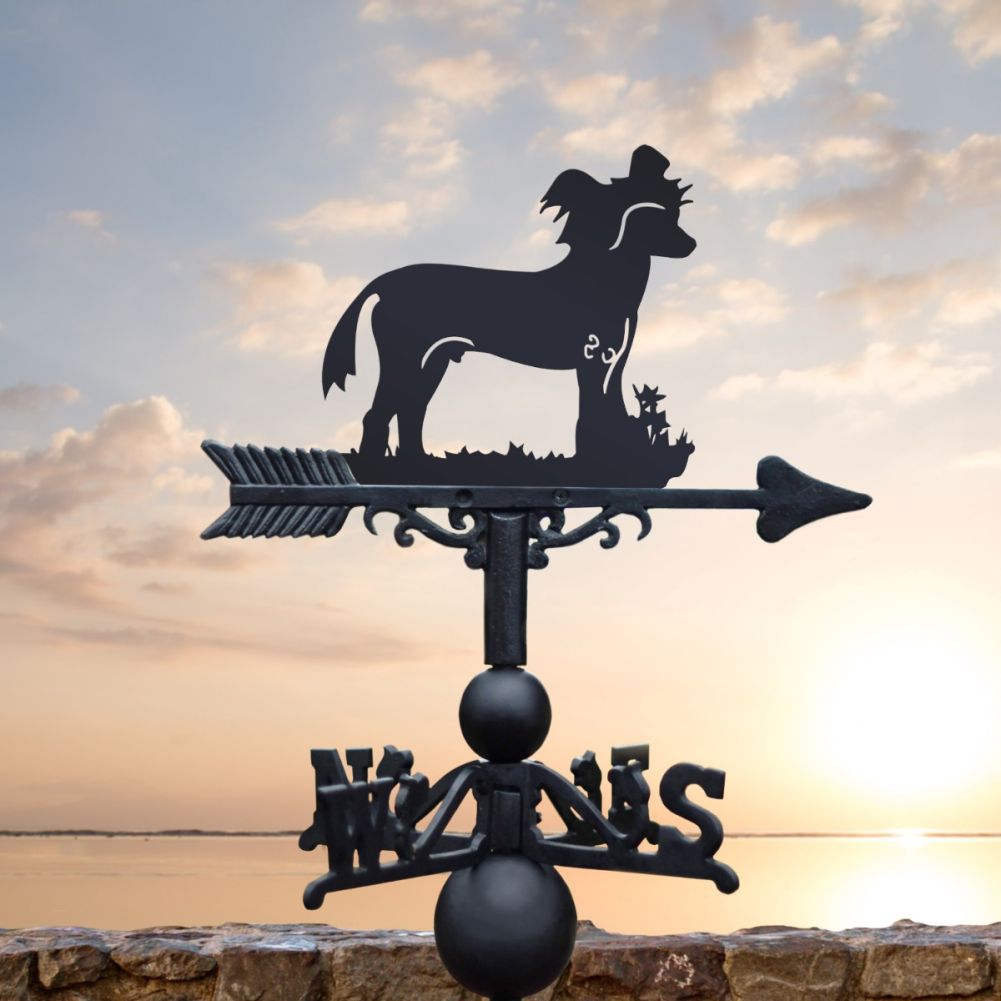 Standing 'Chinese Crested' Dog Weathervane