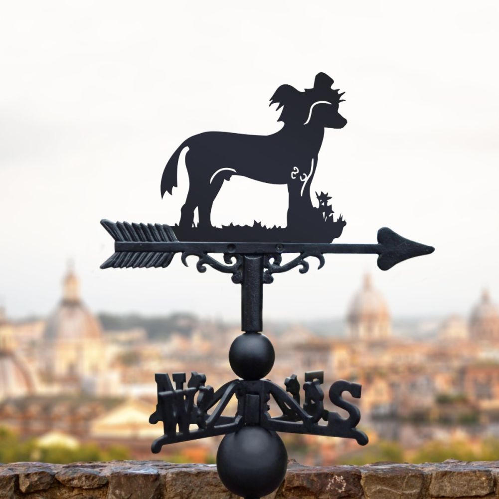 Standing 'Chinese Crested' Dog Weathervane in Situ