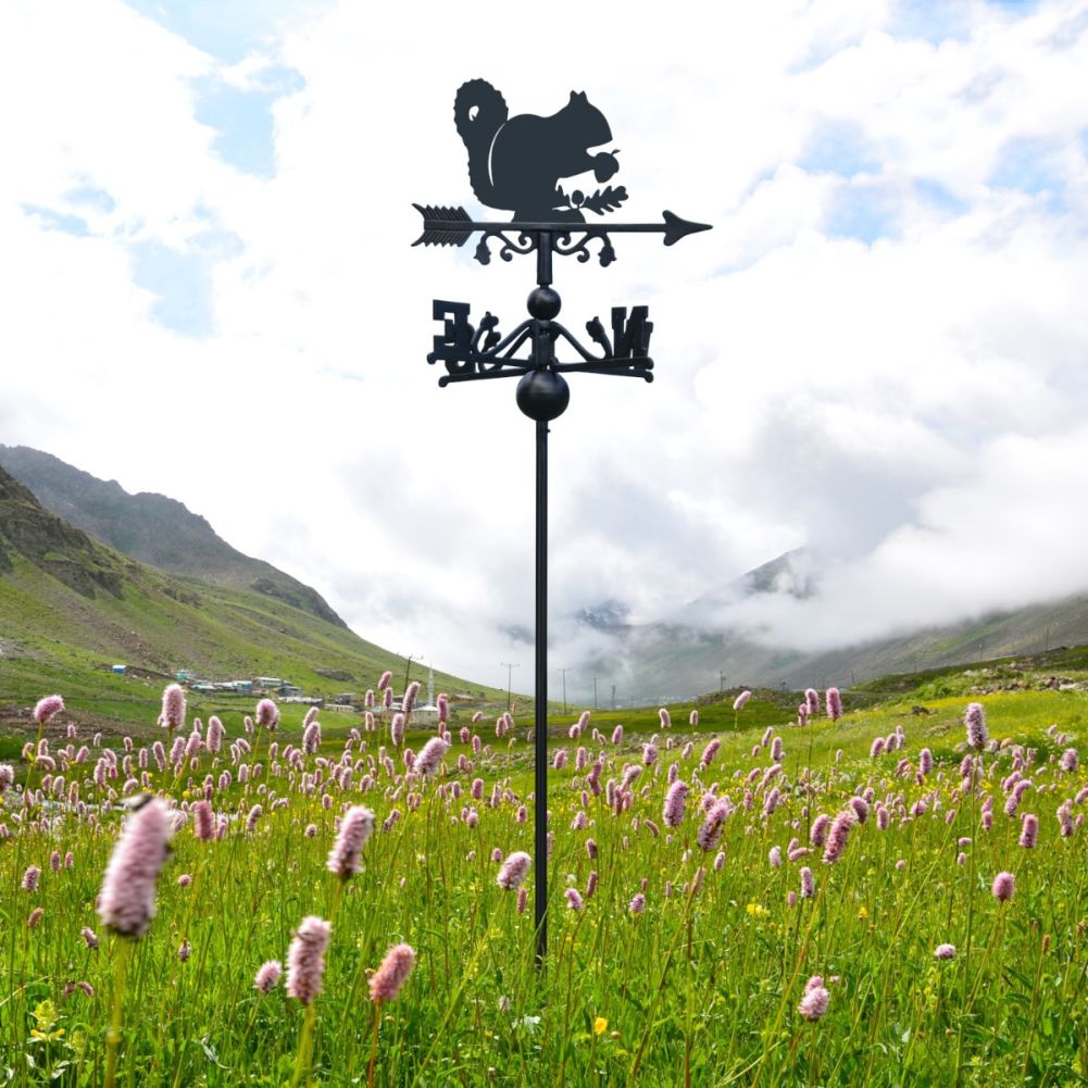 Freestanding Weathervane with Squirrel Topper