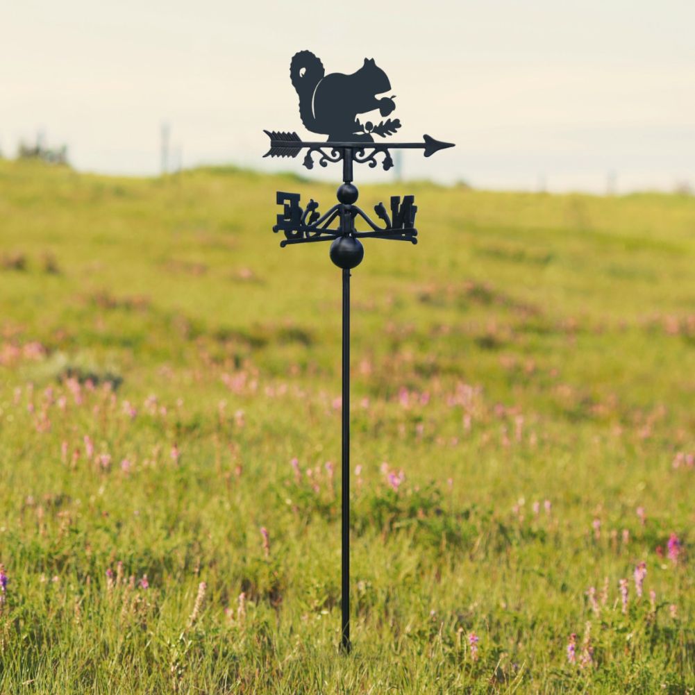 Freestanding Squirrel Weathervane in Situ