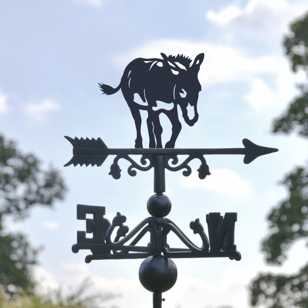 Close-Up of Donkey Topper