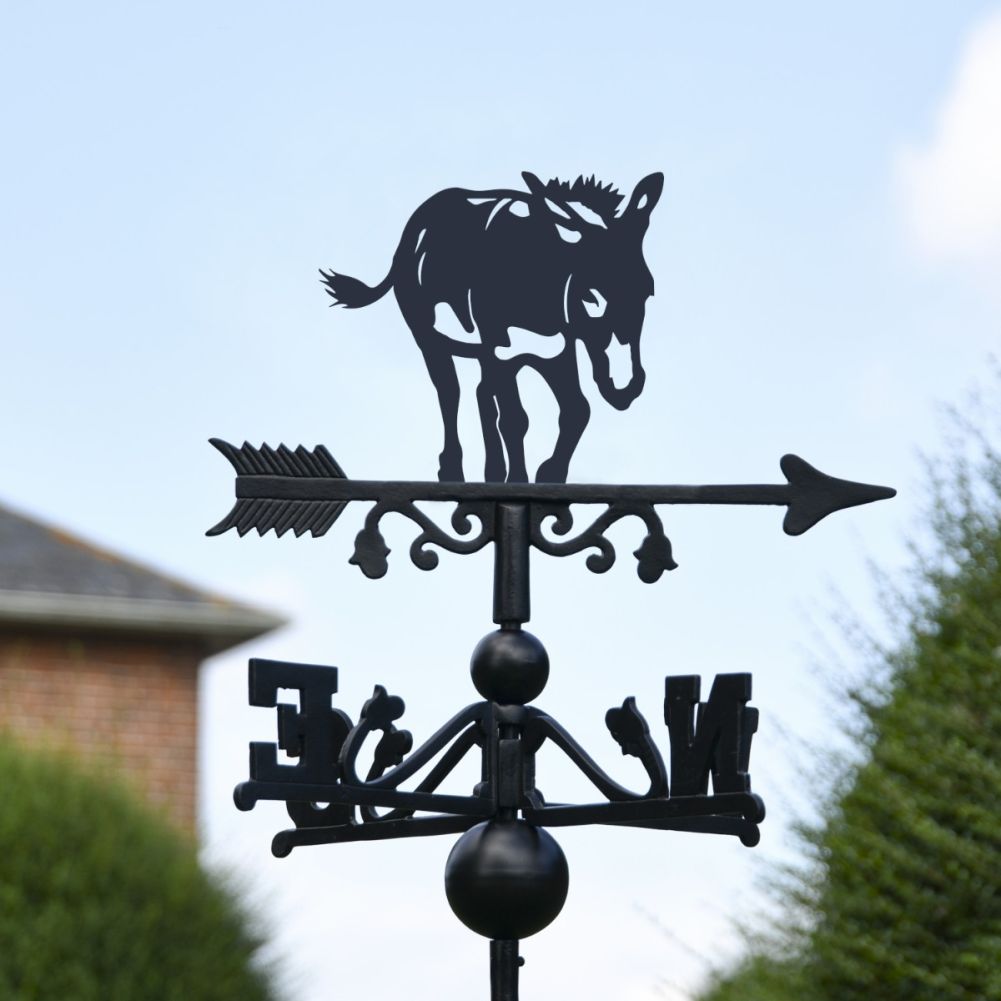 Close-Up of Donkey Motif