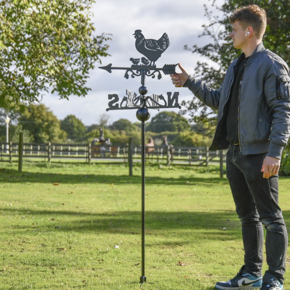 Freestanding Hen & Chicks Weathervane to Scale