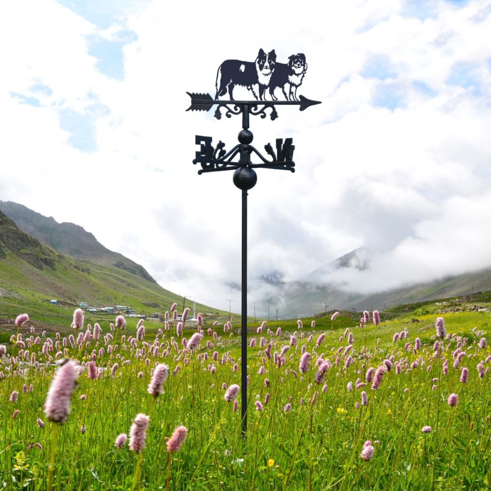 Freestanding Weathervane with Two Border Collies Topper